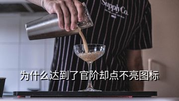 为什么达到了官阶却点不亮图标