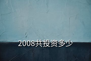 2008共投资多少