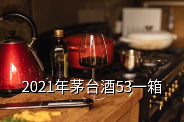 2021年茅台酒53一箱