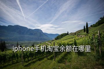 iphone手机淘宝余额在哪里