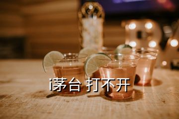 i茅台 打不开