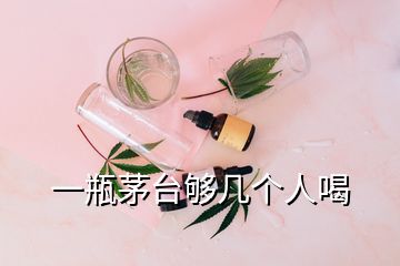 一瓶茅台够几个人喝