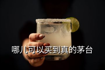 哪儿可以买到真的茅台