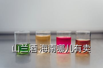 山兰酒 海南哪儿有卖