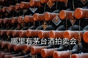 哪里有茅台酒拍卖会