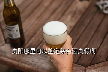 贵阳哪里可以鉴定茅台酒真假啊