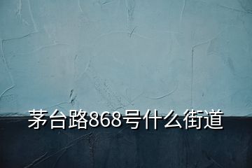 茅台路868号什么街道