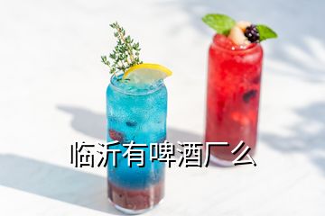 临沂有啤酒厂么