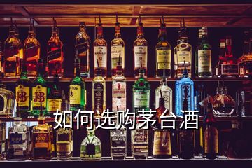 如何选购茅台酒