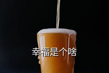 幸福是个啥