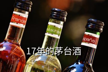 17年的茅台酒