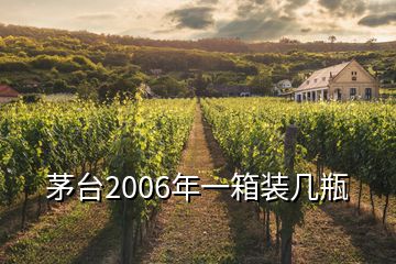 茅台2006年一箱装几瓶