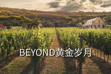 BEYOND黄金岁月