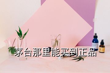 茅台那里能买到正品