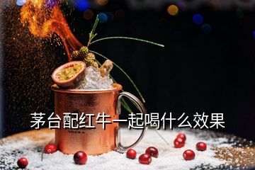 茅台配红牛一起喝什么效果