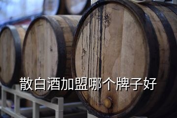 散白酒加盟哪个牌子好