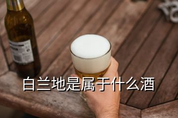 白兰地是属于什么酒