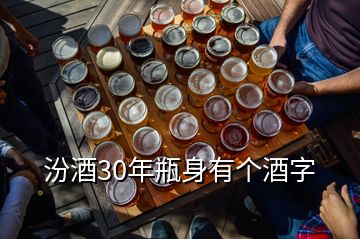 汾酒30年瓶身有个酒字