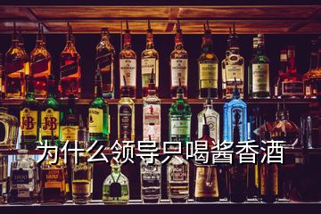 为什么领导只喝酱香酒