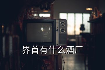 界首有什么酒厂