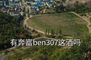 有奔富ben307这酒吗