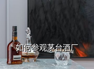 如何参观茅台酒厂