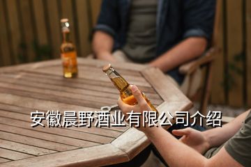 安徽晨野酒业有限公司介绍