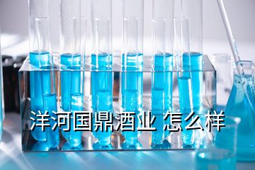 洋河国鼎酒业 怎么样