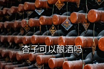 杏子可以酿酒吗