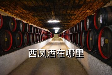 西凤酒在哪里