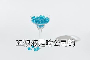 五粮液是啥公司的