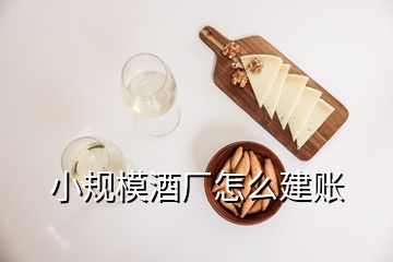 小规模酒厂怎么建账