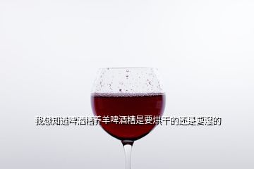 我想知道啤酒糟养羊啤酒糟是要烘干的还是要湿的