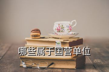 哪些属于国营单位