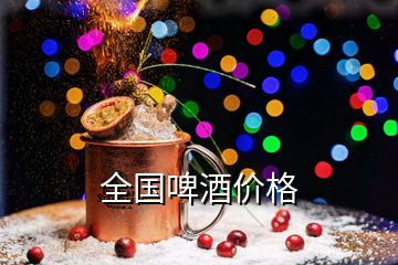 全国啤酒价格