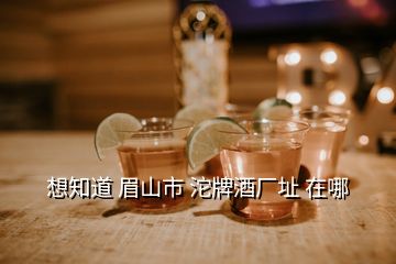 想知道 眉山市 沱牌酒厂址 在哪