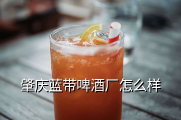 肇庆蓝带啤酒厂怎么样