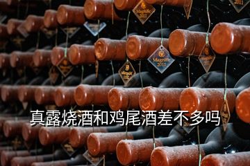 真露烧酒和鸡尾酒差不多吗