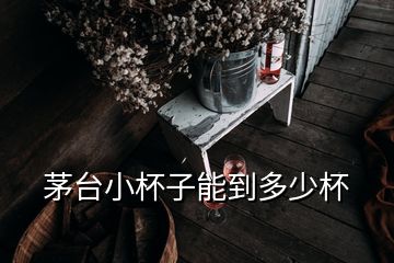 茅台小杯子能到多少杯