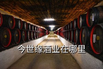 今世缘酒业在哪里