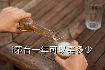 i茅台一年可以买多少