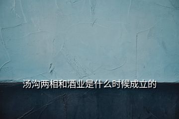 汤沟两相和酒业是什么时候成立的