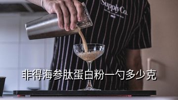 非得海参肽蛋白粉一勺多少克