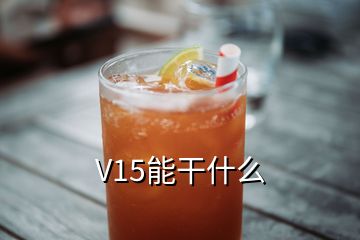 V15能干什么