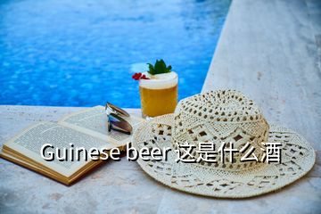 Guinese beer 这是什么酒