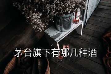 茅台旗下有哪几种酒