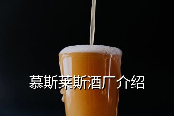 慕斯莱斯酒厂介绍