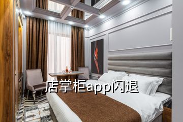 店掌柜app闪退