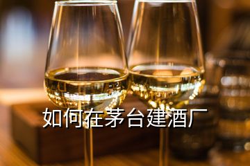 如何在茅台建酒厂