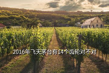 2016年飞天茅台有14个齿轮对不对